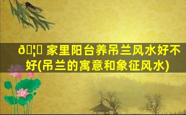 🦄 家里阳台养吊兰风水好不好(吊兰的寓意和象征风水)